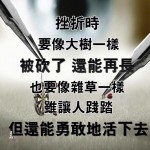 「野心」法則
