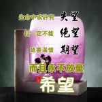 快樂才是人生